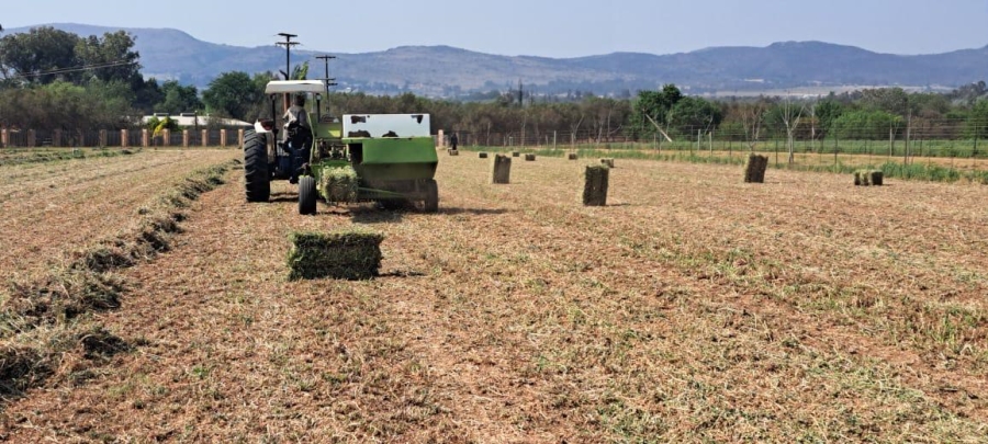 6 Bedroom Property for Sale in Remhoogte AH North West